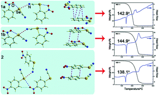 Graphical abstract: Intermolecular and very strong intramolecular C–Se⋯O/N chalcogen bonds in nitrophenyl selenocyanate crystals