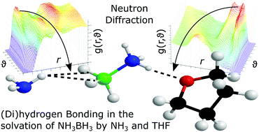 Graphical abstract: Dihydrogen vs. hydrogen bonding in the solvation of ammonia borane by tetrahydrofuran and liquid ammonia