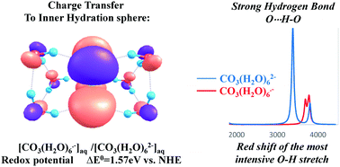Graphical abstract: Carbonate and carbonate anion radicals in aqueous solutions exist as CO3(H2O)62− and CO3(H2O)6˙− respectively: the crucial role of the inner hydration sphere of anions in explaining their properties