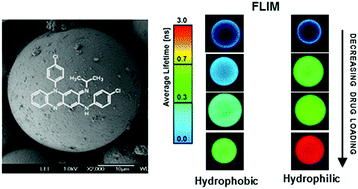 Graphical abstract: Fluorescence imaging of antibiotic clofazimine encapsulated within mesoporous silica particle carriers: relevance to drug delivery and the effect on its release kinetics