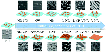 Graphical abstract: Morphology-controlled epitaxial vanadium dioxide low-dimensional structures: the delicate effects on the phase transition behaviors