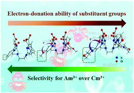 Graphical abstract: Understanding Am3+/Cm3+ separation with H4TPAEN and its hydrophilic derivatives: a quantum chemical study