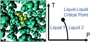 Graphical abstract: Nuclear quantum effects on the liquid–liquid phase transition of a water-like monatomic liquid