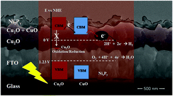 Graphical abstract: Photoelectrochemical hydrogen generation employing a Cu2O-based photocathode with improved stability and activity by using NixPy as the cocatalyst