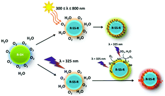 Graphical abstract: Photodegradation of methyl thioglycolate particles as a proxy for organosulphur containing droplets