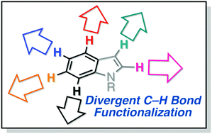 Graphical abstract: Transition metal-catalyzed site- and regio-divergent C–H bond functionalization