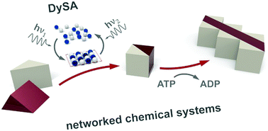 Graphical abstract: From dynamic self-assembly to networked chemical systems