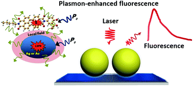 Graphical abstract: Plasmon-enhanced fluorescence spectroscopy