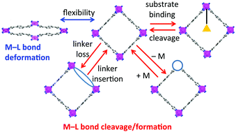 Graphical abstract: Coordination change, lability and hemilability in metal–organic frameworks