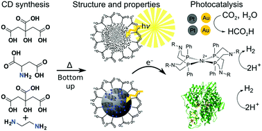 Graphical abstract: Carbon dots as photosensitisers for solar-driven catalysis