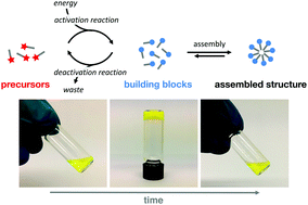 Graphical abstract: Dissipative out-of-equilibrium assembly of man-made supramolecular materials