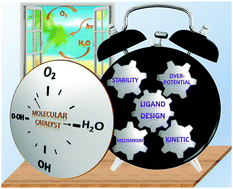 Graphical abstract: How to make an efficient and robust molecular catalyst for water oxidation