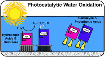Graphical abstract: Anchoring groups for photocatalytic water oxidation on metal oxide surfaces