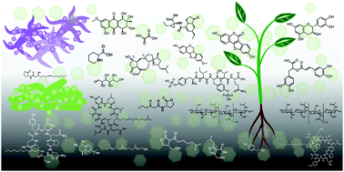 Graphical abstract: Chemical signaling involved in plant–microbe interactions