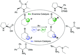 Graphical abstract: Iminium and enamine catalysis in enantioselective photochemical reactions