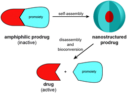 Graphical abstract: Self-assembling prodrugs
