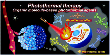 Graphical abstract: Organic molecule-based photothermal agents: an expanding photothermal therapy universe