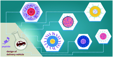 Graphical abstract: Molecular engineering solutions for therapeutic peptide delivery