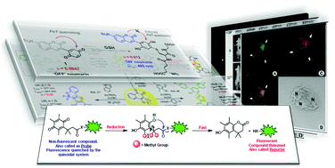 Graphical abstract: Quinone-based fluorophores for imaging biological processes