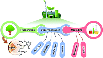 Graphical abstract: Chemicals from lignin: an interplay of lignocellulose fractionation, depolymerisation, and upgrading