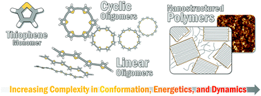 Graphical abstract: Excited-state structural relaxation and exciton delocalization dynamics in linear and cyclic π-conjugated oligothiophenes