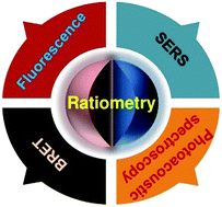 Graphical abstract: Ratiometric optical nanoprobes enable accurate molecular detection and imaging