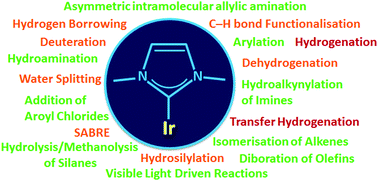 Graphical abstract: A leap forward in iridium–NHC catalysis: new horizons and mechanistic insights
