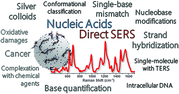 Graphical abstract: Direct surface-enhanced Raman scattering (SERS) spectroscopy of nucleic acids: from fundamental studies to real-life applications
