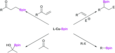 Graphical abstract: Copper-boryl mediated organic synthesis