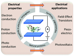 Graphical abstract: Solid-state electrical applications of protein and peptide based nanomaterials