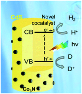 Graphical abstract: Cobalt nitride as an efficient cocatalyst on CdS nanorods for enhanced photocatalytic hydrogen production in water