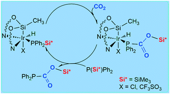 Graphical abstract: Iridium–NSiN catalyzed formation of silylphosphinecarboxylates from the reaction of CO2 with P(SiMe3)R2 (R = Ph, Cy)