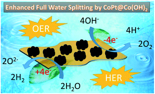 Graphical abstract: Magnetic CoPt nanoparticle-decorated ultrathin Co(OH)2 nanosheets: an efficient bi-functional water splitting catalyst