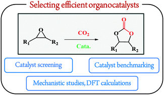 Graphical abstract: Organocatalyzed coupling of carbon dioxide with epoxides for the synthesis of cyclic carbonates: catalyst design and mechanistic studies