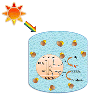 Graphical abstract: Photocatalytic pathway toward degradation of environmental pharmaceutical pollutants: structure, kinetics and mechanism approach