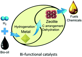 Graphical abstract: Recent progress on upgrading of bio-oil to hydrocarbons over metal/zeolite bifunctional catalysts
