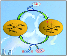 Graphical abstract: Aliphatic Mn–PNP complexes for the CO2 hydrogenation reaction: a base free mechanism