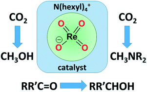 Graphical abstract: Reduction of carbon dioxide and organic carbonyls by hydrosilanes catalysed by the perrhenate anion
