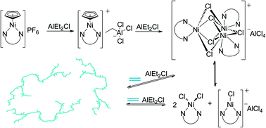 Graphical abstract: Reactivity of cationic α-diimine cyclopentadienyl nickel complexes towards AlEt2Cl: synthesis, characterisation and ethylene polymerisation