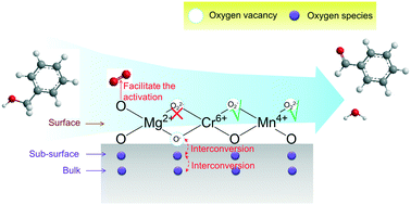 Graphical abstract: The role of various oxygen species in Mn-based layered double hydroxide catalysts in selective alcohol oxidation