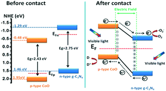 Graphical abstract: Facile fabrication of a CoO/g-C3N4 p–n heterojunction with enhanced photocatalytic activity and stability for tetracycline degradation under visible light