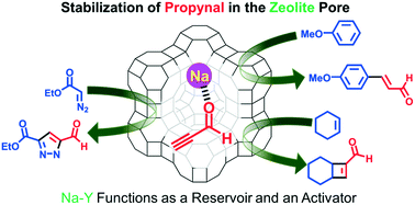 Graphical abstract: Stabilization and activation of unstable propynal in the zeolite nanospace and its application to addition reactions