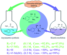 Graphical abstract: A new d-threonine aldolase as a promising biocatalyst for highly stereoselective preparation of chiral aromatic β-hydroxy-α-amino acids