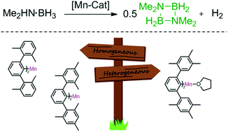 Graphical abstract: Dehydrocoupling of dimethylamine–borane promoted by manganese(ii) m-terphenyl complexes