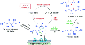 Graphical abstract: Mechanistic study on –C–O– and –C–C– hydrogenolysis over Cu catalysts: identification of reaction pathways and key intermediates