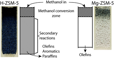 Graphical abstract: Spatiotemporal coke formation over zeolite ZSM-5 during the methanol-to-olefins process as studied with operando UV-vis spectroscopy: a comparison between H-ZSM-5 and Mg-ZSM-5