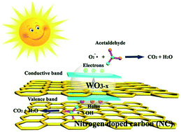 Graphical abstract: Nonstoichiometric tungsten oxide residing in a 3D nitrogen doped carbon matrix, a composite photocatalyst for oxygen vacancy induced VOC degradation and H2 production