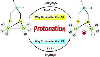 Graphical abstract: Selenium makes the difference: protonation of [FeFe]-hydrogenase mimics with diselenolato ligands
