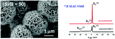 Graphical abstract: Boron-containing MFI-type zeolites with a hierarchical nanosheet assembly for lipase immobilization