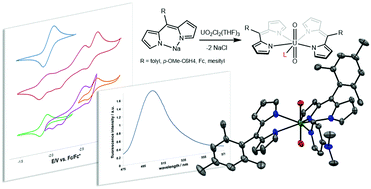 Graphical abstract: F-element metalated dipyrrins: synthesis and characterization of a family of uranyl bis(dipyrrinate) complexes